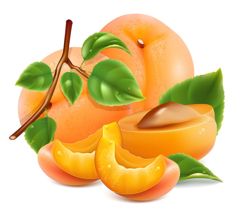 Delicious peach design vector material
