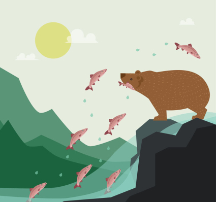 Brown bears feeding on salmon vector material