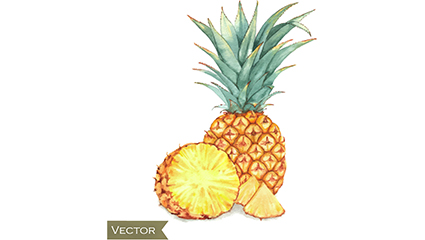 Painted delicious pineapple vector material