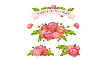 3 beautiful bouquet of roses and ribbon vector material
