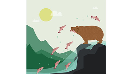 Brown bears feeding on salmon vector material