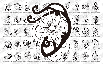 Flower patterns vector Totem material-2