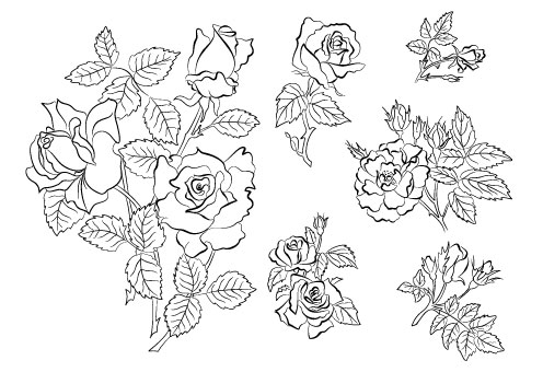 Hand-painted flowers material 04 - vector material