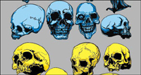 Skeleton head vector of material
