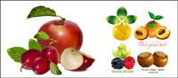 Fruit set vector of material