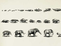 wwf public service ads