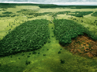 Excellent dimensional works  (7P)