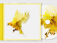 Foreign super cow designer _Paul lee (flat articles)