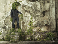 Levi s classic graphic design