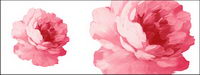 Hand-painted flowers layered material psd-4