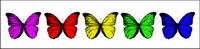 Butterfly series of transparent PNG icon