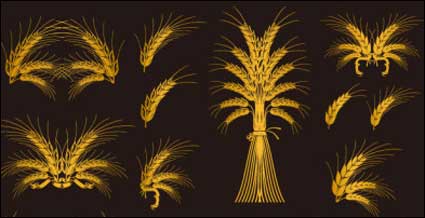 European decorative element vector material gold