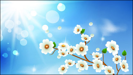 Plum vector material