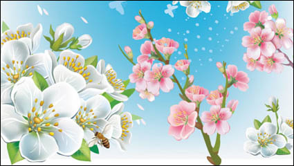 Beautiful peach 04 - Vector 