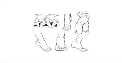 Vector feet