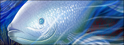 Deep-sea fish psd layered material