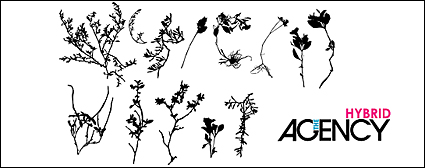 The plants withered Vector